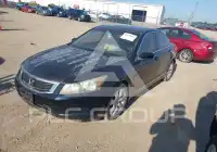 2008 Honda Accord photo