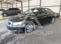 2008 Honda Accord фото