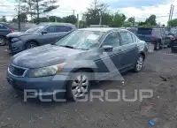2008 Honda Accord фото
