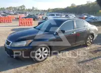 2008 Honda Accord фото