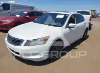 2008 Honda Accord фото