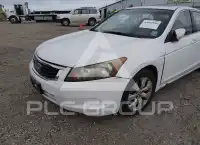 2008 Honda Accord photo