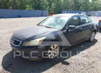 2008 Honda Accord photo