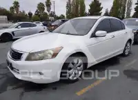 2008 Honda Accord фото