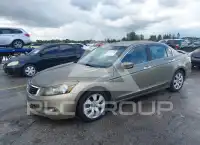 2008 Honda Accord фото