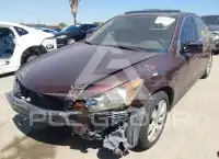 2008 Honda Accord фото