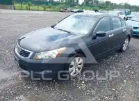 2008 Honda Accord photo