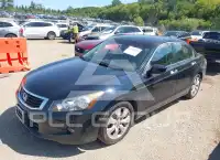 2008 Honda Accord фото