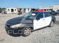 2008 Honda Accord photo