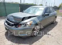 2008 Honda Accord фото