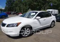 2008 Honda Accord photo