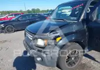 2008 Honda ELEMENT фото