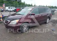 2008 Honda ODYSSEY фото