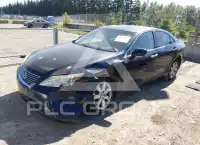 2008 Lexus ES350 фото