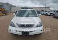 2008 Lexus RX photo