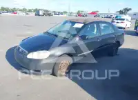 2008 Toyota COROLLA photo