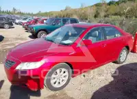 2008 Toyota CAMRY фото