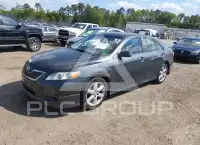 2008 Toyota CAMRY фото