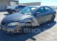 2008 Toyota CAMRY фото