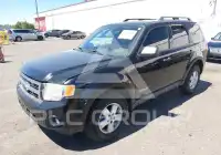 2008 Ford ESCAPE photo