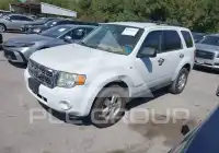 2008 Ford ESCAPE photo