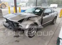 2008 Ford MUSTANG фото