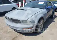 2008 Ford MUSTANG фото