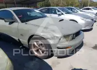 2008 Ford MUSTANG фото