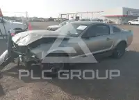 2008 Ford MUSTANG фото