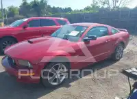 2008 Ford MUSTANG фото