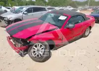 2008 Ford MUSTANG photo