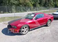 2008 Ford MUSTANG photo
