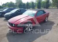 2008 Ford MUSTANG фото