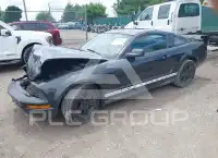 2008 Ford MUSTANG фото