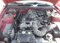 2008 Ford MUSTANG photo