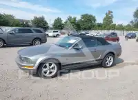 2008 Ford MUSTANG photo