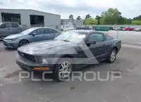 2008 Ford MUSTANG photo