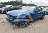 2008 Ford MUSTANG фото