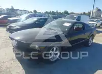 2008 Ford MUSTANG фото