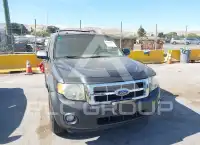 2008 Ford ESCAPE photo
