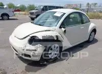 2008 Volkswagen BEETLE фото