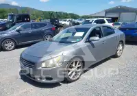 2009 Nissan MAXIMA фото