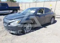 2009 Nissan MAXIMA photo