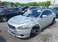 2009 Nissan MAXIMA photo