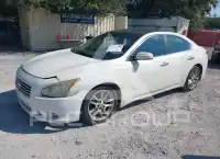 2009 Nissan MAXIMA фото