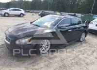 2009 Nissan MAXIMA photo