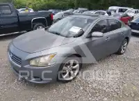2009 Nissan MAXIMA photo