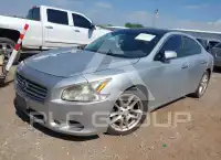 2009 Nissan MAXIMA photo