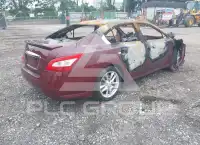 2009 Nissan MAXIMA photo