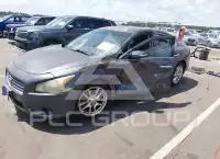 2009 Nissan MAXIMA photo